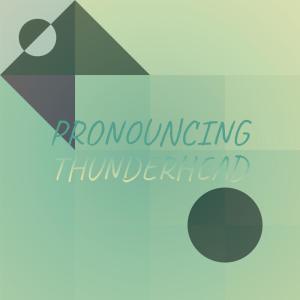 อัลบัม Pronouncing Thunderhead ศิลปิน Various