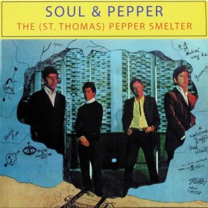 ดาวน์โหลดและฟังเพลง Can You See Me? พร้อมเนื้อเพลงจาก The (St. Thomas) Pepper Smelter