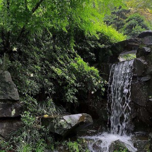 收聽曹哲瀚的潛意識腦波催眠曲 大自然蟲鳴聲 (完整版)歌詞歌曲