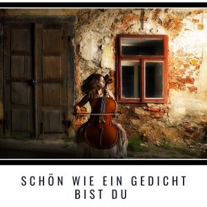 收聽Evelyn Künneke的Junger Mann歌詞歌曲