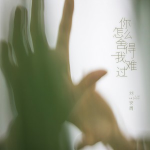 刘安周的专辑你怎么舍得我难过