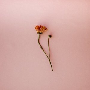 收聽Sunsleeper的Better Now歌詞歌曲