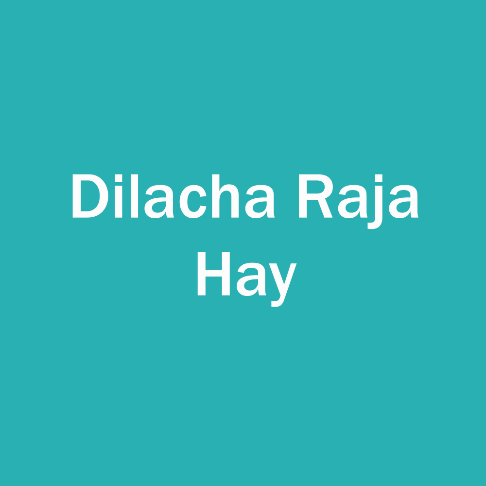 Dilacha Raja Hay