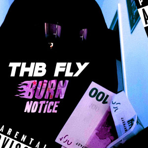 Listen to Burn Notice song with lyrics from Thb Fly