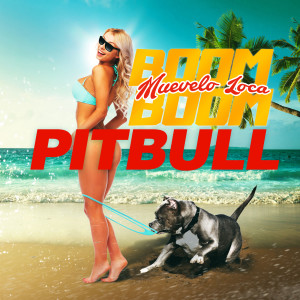 ดาวน์โหลดและฟังเพลง Muévelo Loca Boom Boom พร้อมเนื้อเพลงจาก Pitbull