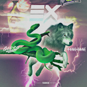 Album Ex (Explicit) from GeeYou