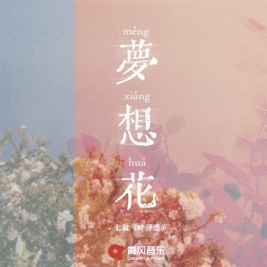 收聽七叔（葉澤浩）的夢想花歌詞歌曲