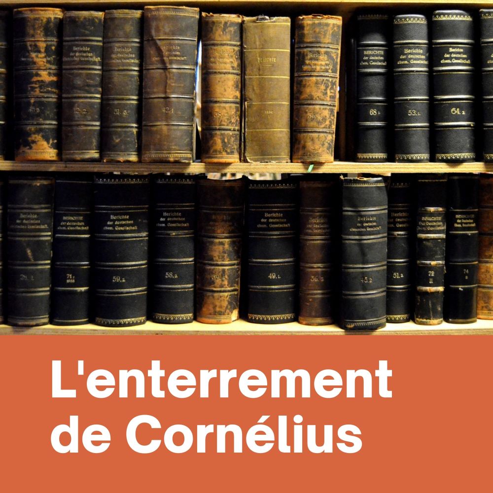Tête de bois