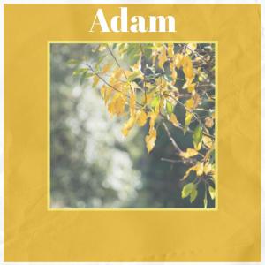 Album Adam oleh Aneth Wili