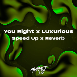 ดาวน์โหลดและฟังเพลง You Right x Luxurious (Speed Up x Reverb) (Remix) พร้อมเนื้อเพลงจาก Splice Records