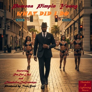 Pomona Pimpin Young的專輯What Did I Do (feat. Dsnakefooedagrammys & ReeRee On2) (Explicit)