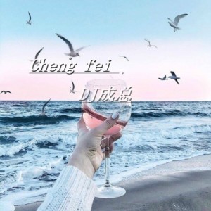 Cheng fei