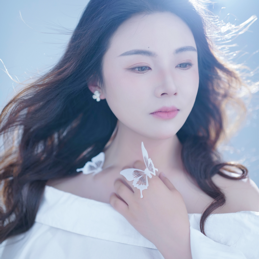 王小凤
