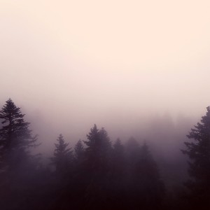 收聽Ezor Jz的Abdicate歌詞歌曲