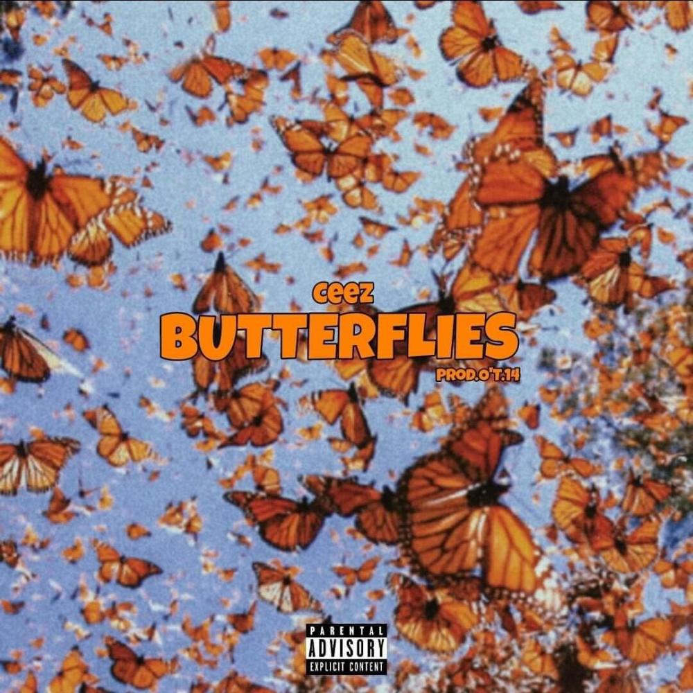 Butterflies (feat. Latoya) (Explicit)
