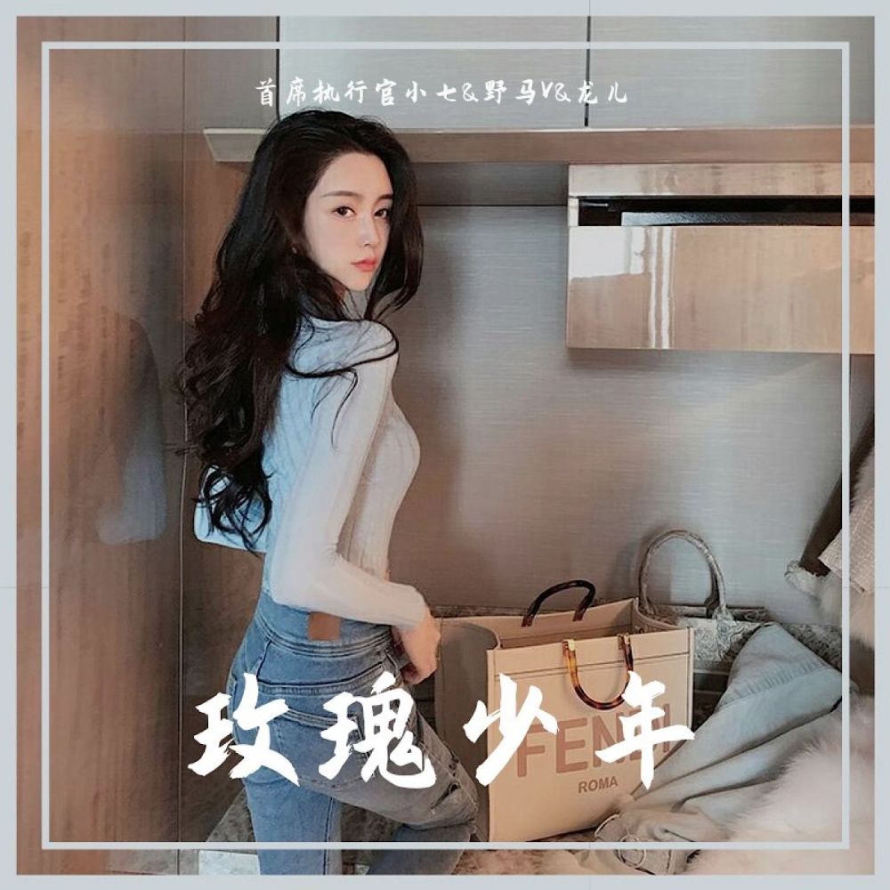 越南混音 (抖音原版)
