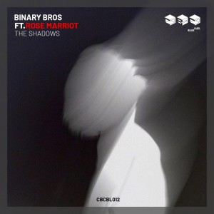 Album The Shadows from Binary Bros