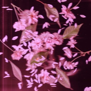 收聽Ellis的Lover歌詞歌曲