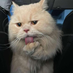 Dengarkan lagu take it off nail (Explicit) nyanyian YUNGTARR dengan lirik