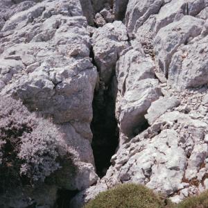 ดาวน์โหลดและฟังเพลง We are fluid (feat. L. Camus-Govoroff) พร้อมเนื้อเพลงจาก Radical Softness