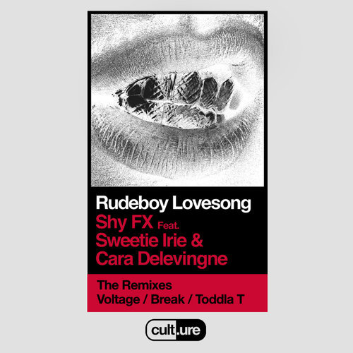 Rudeboy Lovesong (feat. Sweetie Irie and Cara Delevingne) (Break Remix)