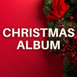 Listen to Hang Your Balls on the Xmas Tree song with lyrics from Kay Martin