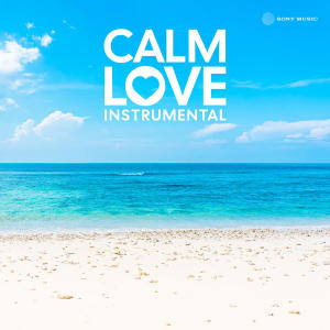 Anirudh Ravichander的專輯Calm Love Instrumental