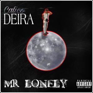 ดาวน์โหลดและฟังเพลง Mr. Lonely (Explicit) พร้อมเนื้อเพลงจาก CalicoDEIRA