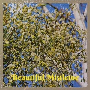 ดาวน์โหลดและฟังเพลง Tis the Season พร้อมเนื้อเพลงจาก The Four Pennies