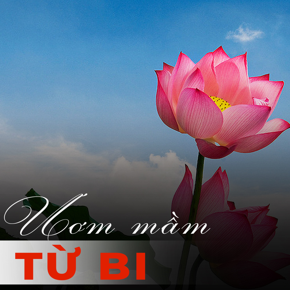 Ươm mầm từ bi