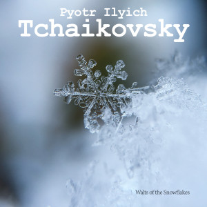 收聽Peter Ilyich Tchaikovsky的Waltz of the Snowflakes歌詞歌曲