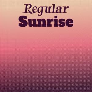 อัลบัม Regular Sunrise ศิลปิน Various