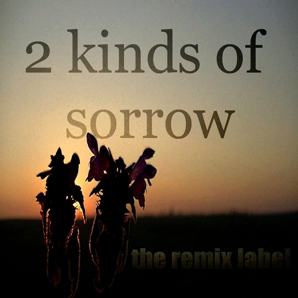 2kindsof Sorrow (Positive Housemusic Mix)