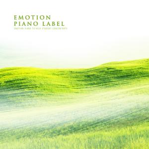 Album Emotion Piano To Help Student Concentrate from Various Artists