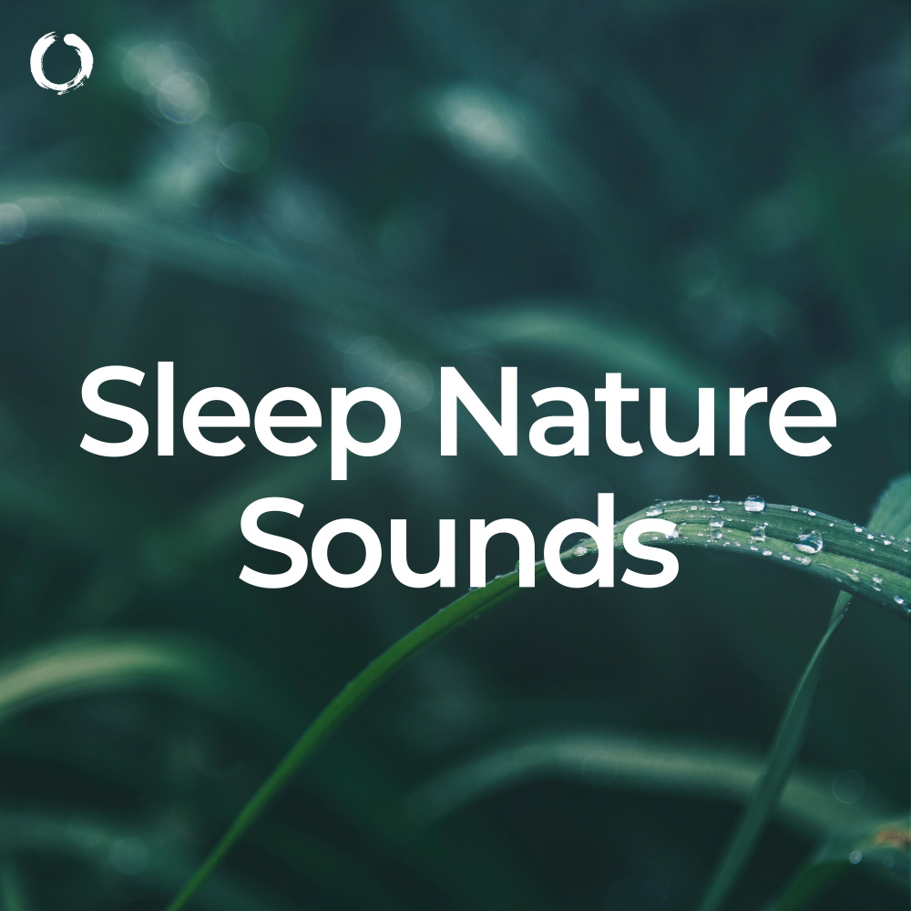 Tranquil Nature Sounds for Restful Sleep