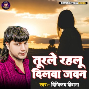 Listen to Turle Rahlu Dilwa Jawan song with lyrics from Digvijay Deewana