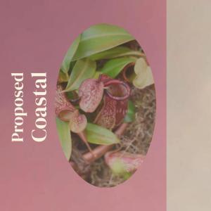 Dengarkan Beyond Omaha lagu dari Bian Pato dengan lirik