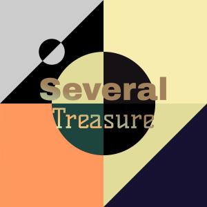 Various Artists的專輯Several Treasure