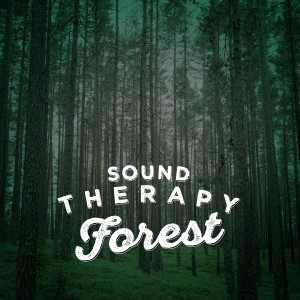 Nature Sounds Therapy的專輯Sound Therapy: Forest