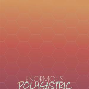 Various Artists的專輯Enormous Polygastric