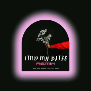 Find My Bliss (feat. David Meli) [Remix] (Explicit)