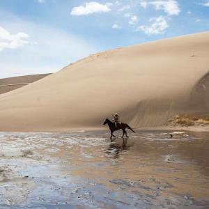 Distant Cowboy的專輯hope is a river that runs between us