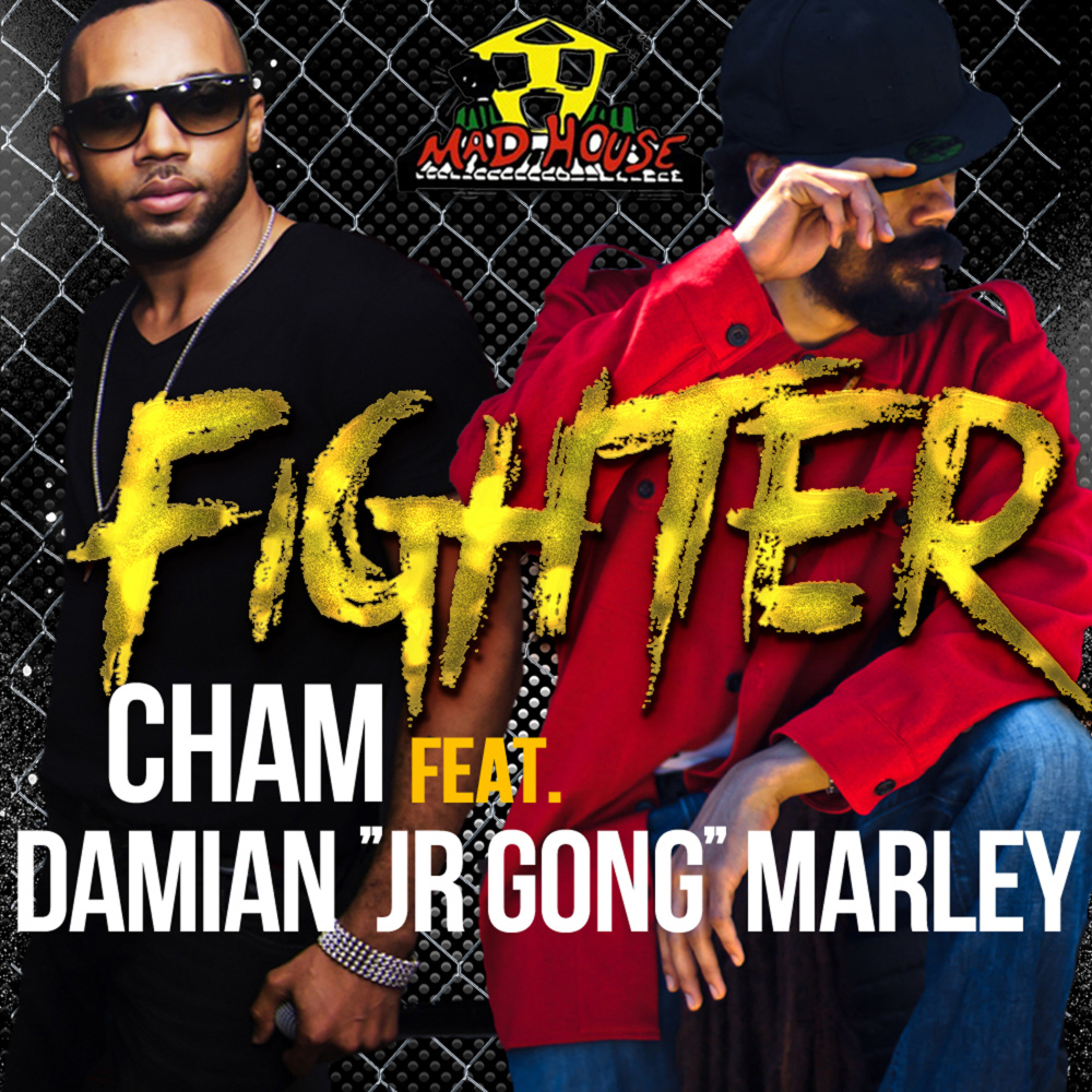 Fighter (feat. Damian "Junior Gong" Marley) (Radio Edit)