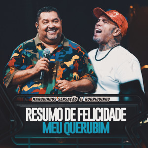 อัลบัม Resumo De Felicidade / Meu Querubim (Ao Vivo) ศิลปิน Rodriguinho