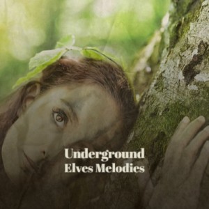 Album Underground Elves Melodies from Various