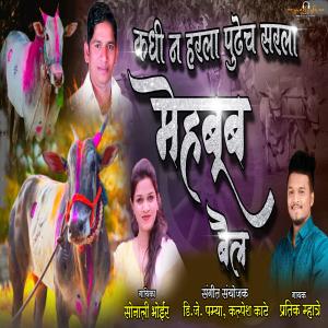 Listen to KADHIN NA HARALA PUDHECH SARLA MEHBOOB BAIL song with lyrics from Pratik Mhatre
