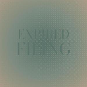 Various Artists的专辑Expired Filing