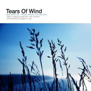 Tears Of Wind