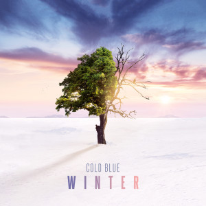 Winter dari Cold Blue