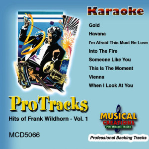 收聽Musical Creations Studio Musicians (Karaoke)的Havana (In the Style of Linda Eder Karaoke Version Instrumental Only)歌詞歌曲